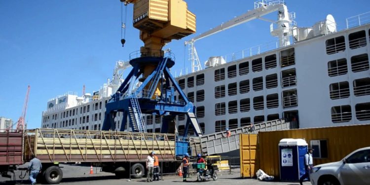 ¿Cuánto falta para que la Argentina exporte ganado en pie a Medio Oriente?