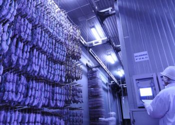 Por la crisis económica y la falta de crédito,  Paladini frenó inversiones