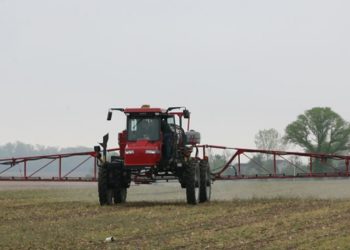 La Corte de Entre Ríos confirmó que las escuelas rurales deben tener una “protección” de un kilómetro