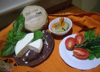 Sabores y saberes: Dos “maestros queseros” que se enamoraron de las cabras