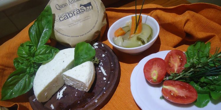 Sabores y saberes: Dos “maestros queseros” que se enamoraron de las cabras