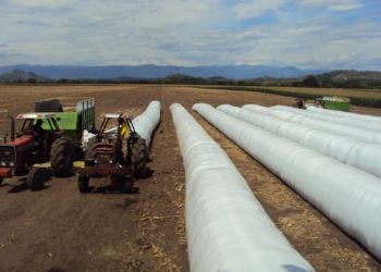 La Argentina es una fábrica de chorizos: Se usarán 250 mil silobolsas esta campaña