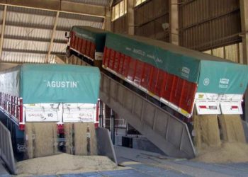 La baja calidad de la soja argentina sale plata: Unos 400 millones de dólares al año