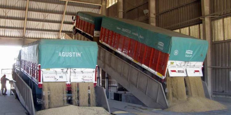 La baja calidad de la soja argentina sale plata: Unos 400 millones de dólares al año