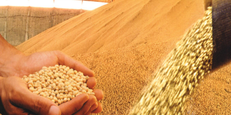 Según Agroindustria, hay menos soja disponible de lo que se calculaba