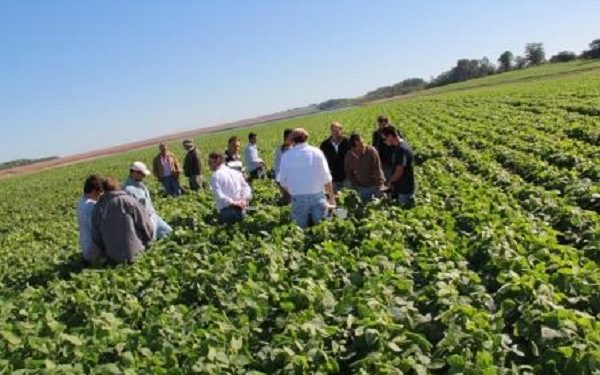 El fantasma de Monsanto seguirá poniendo dinero para controlar la soja Intacta