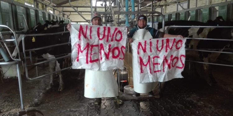 La industra láctea dice que “comprende perfectamente” a los tamberos, pero repite que no puede pagarles más