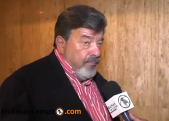 El empresario que denuncia a viva voz que existe una “mafia del cuero”