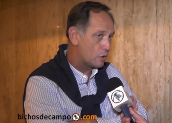 El ruralismo cordobés propone “una evolución” en el modo de definir la suba del Inmobiliario Rural