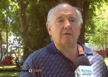 Veteranos // Guillermo Cal: “La industria de agroquímicos está acostumbrada a tratar con el cliente y el Estado, y no con el ciudadano”