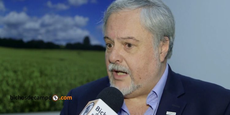 Las cerealeras sobre el trigo transgénico: “No aprobamos ningún evento que no acepten en el lugar de destino”