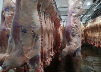 El “boom exportador” solo llega a China: Los mercados tradicionales todavía no demandan más carne argentina
