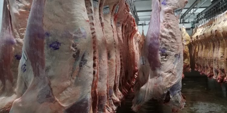 El “boom exportador” solo llega a China: Los mercados tradicionales todavía no demandan más carne argentina