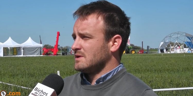 Marcos Bragachini: “Hay varias formas de paliar la contaminación provocada por el estiercol animal”