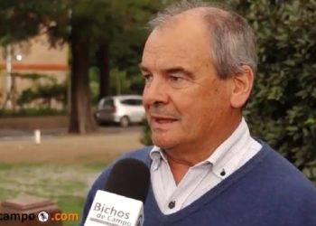 Mario Cattáneo: “En el mercado mundial de la cebada, Argentina pasó de no existir a ser top ten”