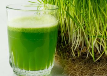 ¿Qué es el Wheatgrass? Una fórmula para desintoxicarse tomando jugo de pasto
