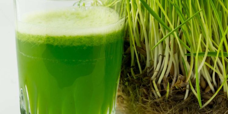 ¿Qué es el Wheatgrass? Una fórmula para desintoxicarse tomando jugo de pasto