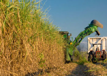 La ex ONCCA extiende sus controles al sector sucroalcoholero