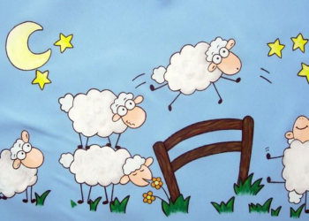 Ahora sí que está bien visto ponerse a contar ovejitas