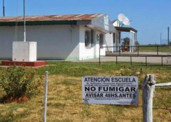 Un chacarero entrerriano ofrece su campo para que le demuestren que la producción orgánica es viable