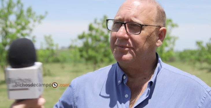 La historia de IPESA: comenzó protegiendo al pasto de la helada y hoy conserva gran parte de la cosecha