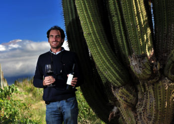 Sabores y Saberes: Javier Collovati, un hacedor del vino riojano y también de caminos