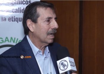 Al final, la agricultura orgánica y la siembra directa resultaron ser primas hermanas