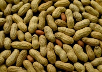 “Hay maní, maní…”: Desde Córdoba para todo el mundo