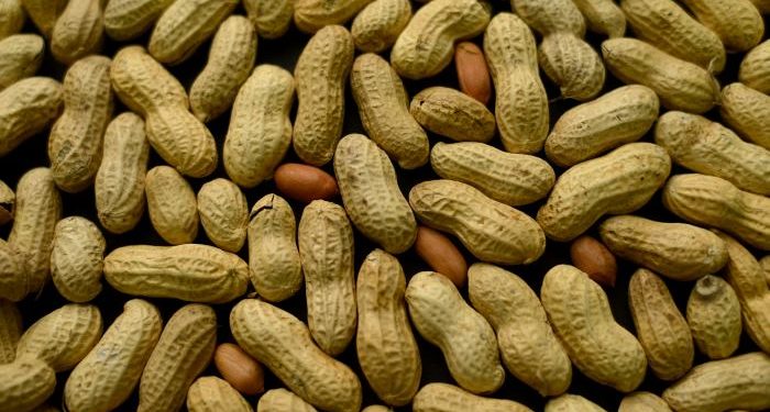 “Hay maní, maní…”: Desde Córdoba para todo el mundo