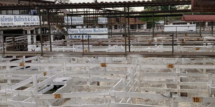 De primera mano: ¿Cómo será el proceso de mudanza del Mercado de Liniers?