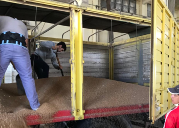 Buena noticia: Después de dos años vuelven a entrar granos al puerto de Santa Fe