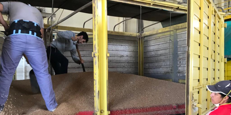 Buena noticia: Después de dos años vuelven a entrar granos al puerto de Santa Fe