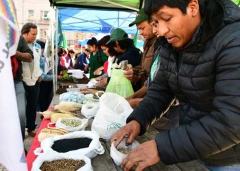 Mientras el gobierno busca un huequito para debatir la Ley de Semillas, Federación Agraria muestra los dientes