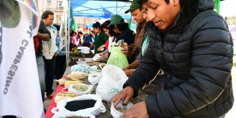 Mientras el gobierno busca un huequito para debatir la Ley de Semillas, Federación Agraria muestra los dientes