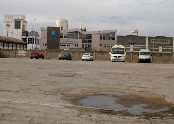 “Claudia, dejate de joder”: Senasa denuncia aprietes y hasta amenazas de muerte por su ofensiva en los puertos