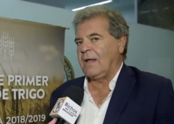 Sergio Busso: “Hay que castigar muy duro al productor que hace las cosas mal” al aplicar agroquímicos