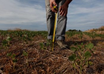 Pese a la deserción del Estado, la cobertura por índices apunta a multiplicar por diez el área asegurada