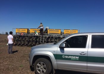 La semillera Sursem pasó a manos de la francesa Limagrain, que es líder global en trigo