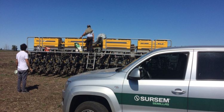 La semillera Sursem pasó a manos de la francesa Limagrain, que es líder global en trigo