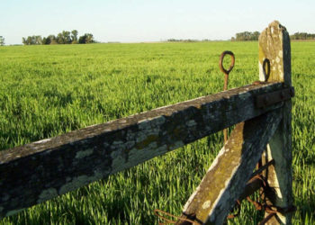 El INDEC dice que el Censo Agropecuario marcha bien y que bancos no exigirán certificado hasta el fin del operativo
