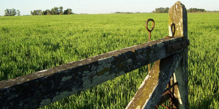 El INDEC dice que el Censo Agropecuario marcha bien y que bancos no exigirán certificado hasta el fin del operativo