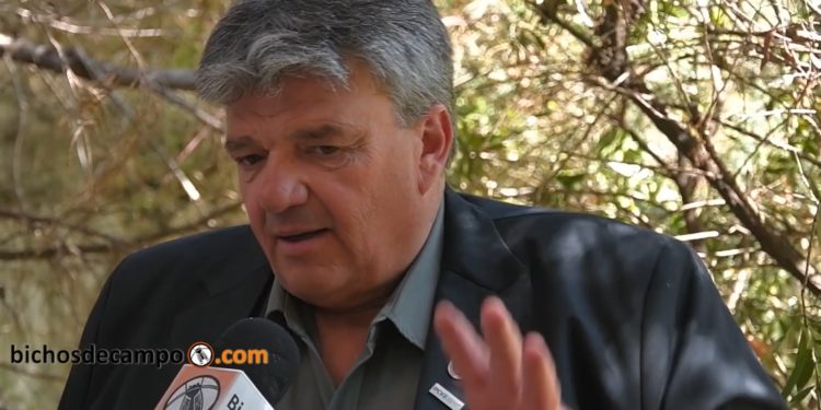 Ulises ‘Chito’ Forte: “Tiene que armarse una Junta Nacional de Carnes”