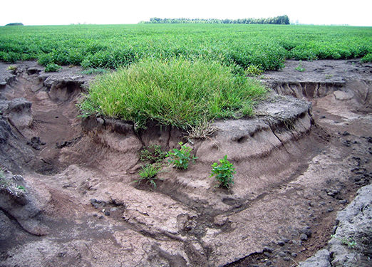 El 35% de los suelos argentinos está afectado por la erosión