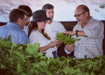 Sabores y saberes: El comandante Andresito, la sommelier Karla y la yerba mate sapecada por agua