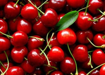 La aspiradora china: En la Patagonia celebran ser “la cereza del postre”