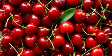 La aspiradora china: En la Patagonia celebran ser “la cereza del postre”