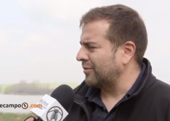 Un técnico del INTA explica la importancia de la ley forestal aprobada en Diputados