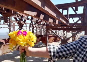 Sabores y Saberes: Cocinar una  vida en el viejo cable carril de Famatina