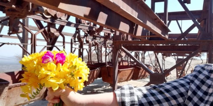 Sabores y Saberes: Cocinar una  vida en el viejo cable carril de Famatina