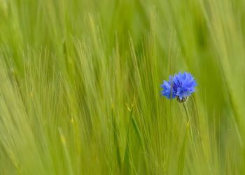 Va sumando adeptos la rebeldía fiscal de este Verano del 2018
